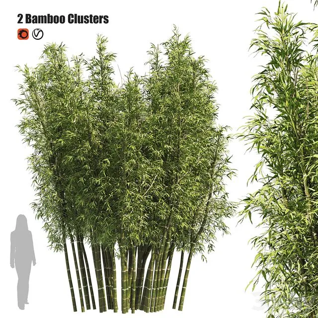 2 Bamboo Clusters 3dsMax Model
