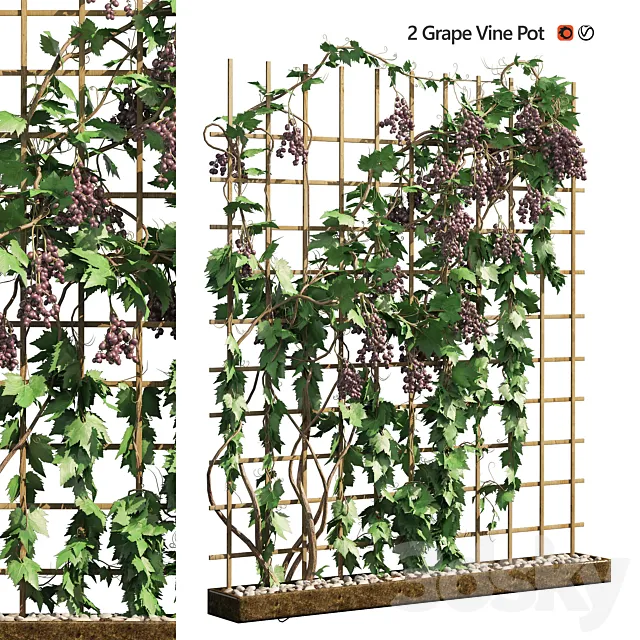 2 Grapevine low and med poly 3ds Max