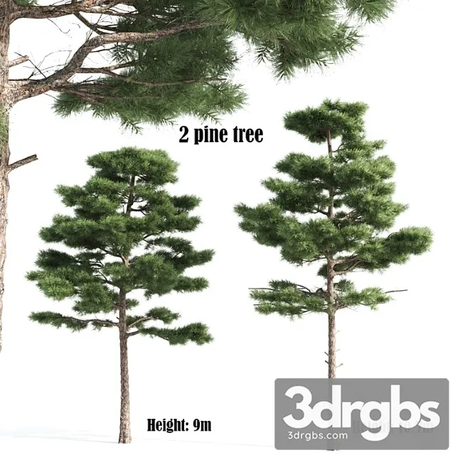 2 Pine Vray 3dsmax Download