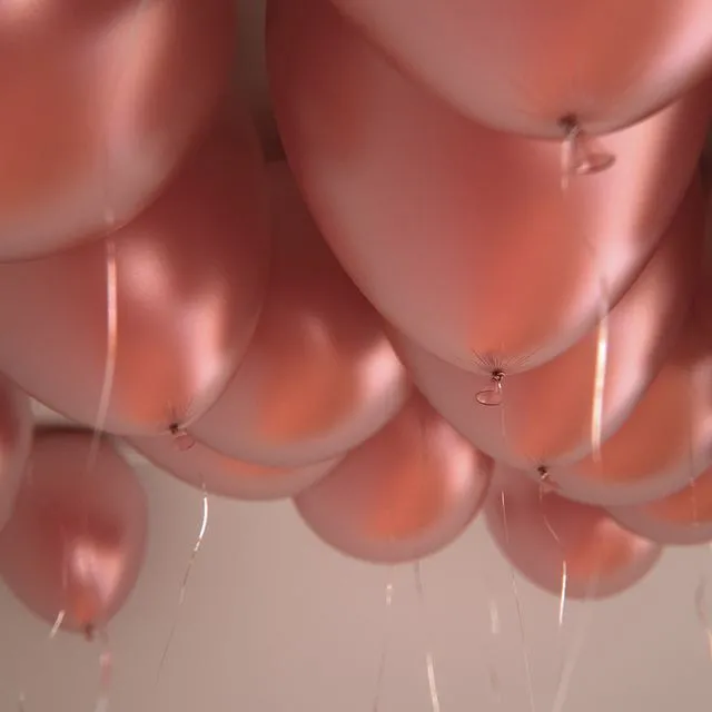 25 balloons 3dsMax Model