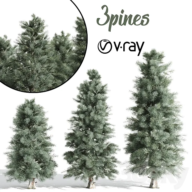 3 Pine tree 3DSMax File
