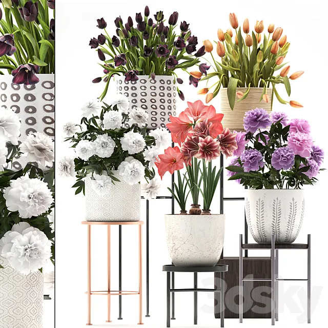 335 plant collection. Stand. Peony. Tulip. Hippeastrum. bouquet set. garden flowers. flower shelf. stand. Scandinavian style 3DSMax File