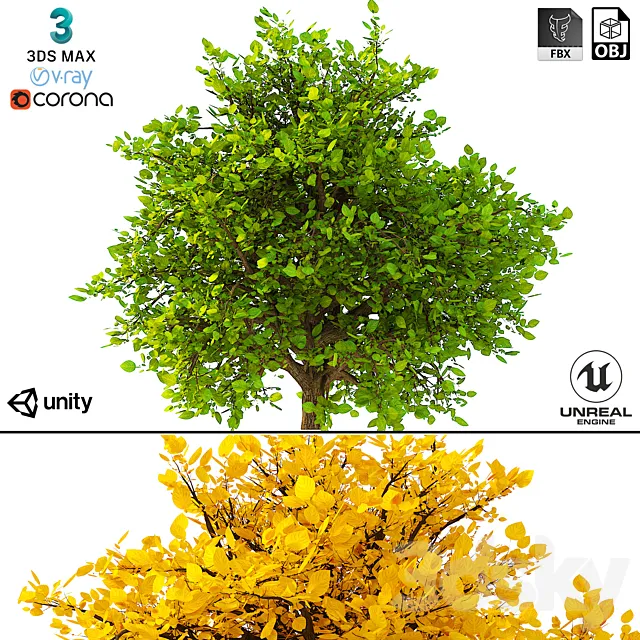 3D Model of the Bush No. 2 3DS Max Model