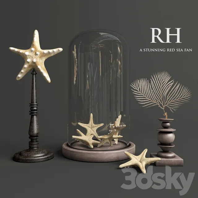 Decorative – Set – 3D Models – A stunning red sea fan Restoration Hardware