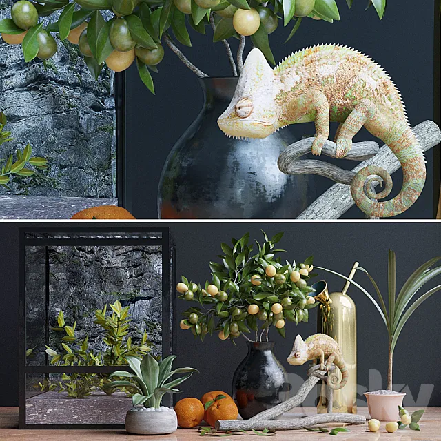Decorative – Set – 3D Models – Decorative set; chameleon (max; obj)
