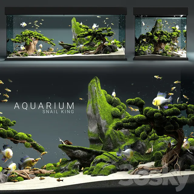 Other Decorative Objects – 3D Models – Aquarium snail king
