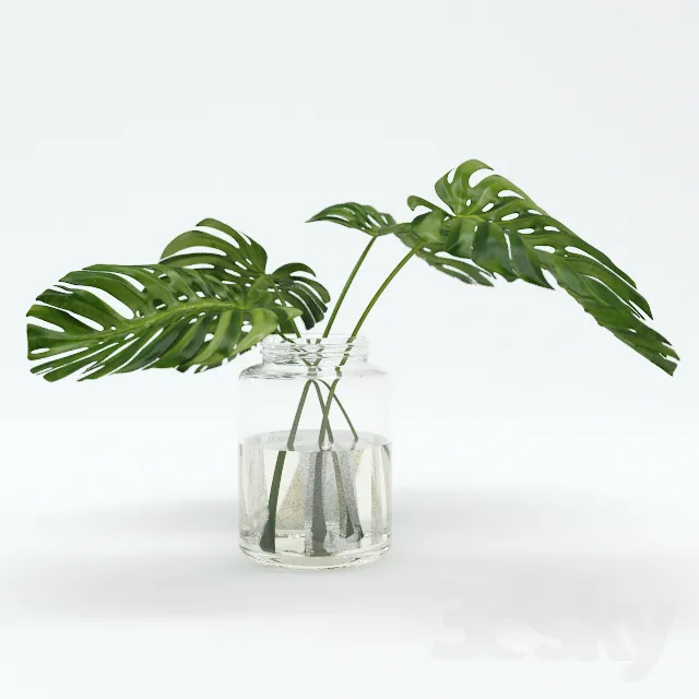 Plants – Flowers – 3D Models Download – 0010