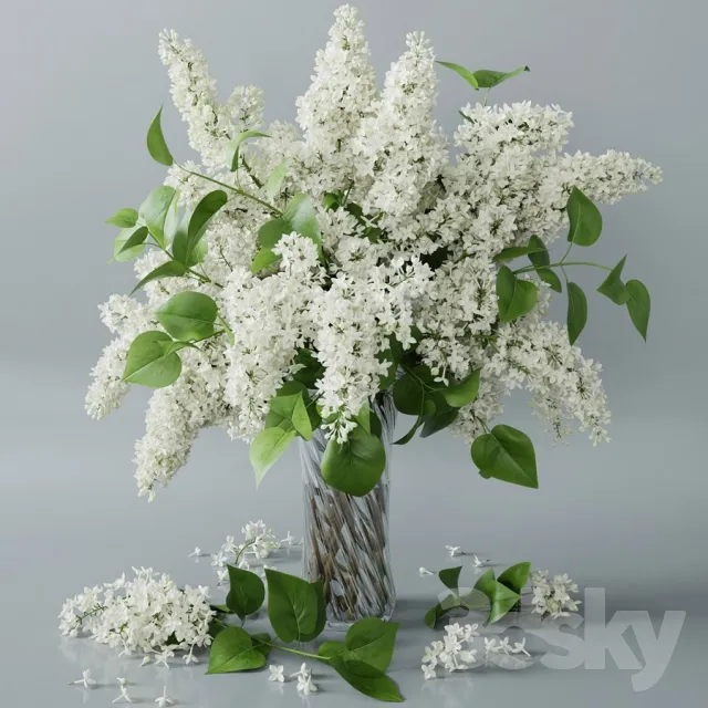 Plants – Flowers – 3D Models Download – 0013