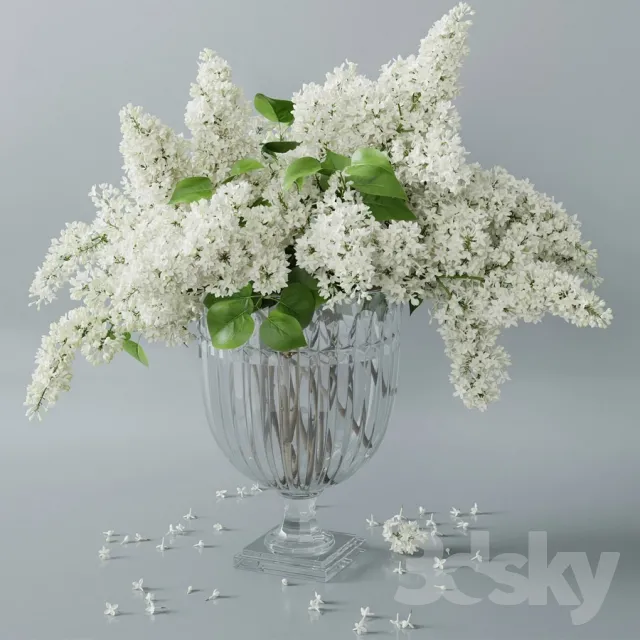 Plants – Flowers – 3D Models Download – 0014