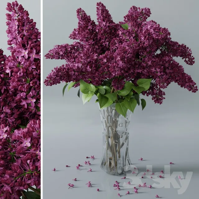 Plants – Flowers – 3D Models Download – 0015