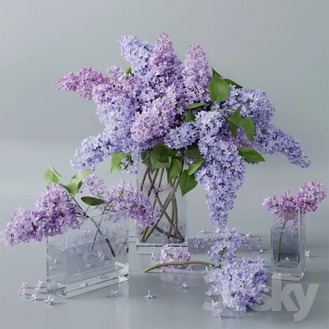 Plants – Flowers – 3D Models Download – 0016
