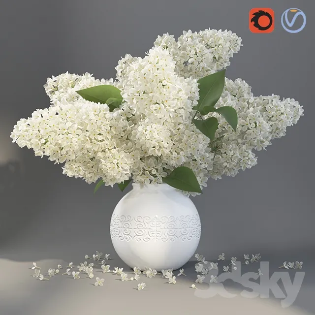 Plants – Flowers – 3D Models Download – 0024