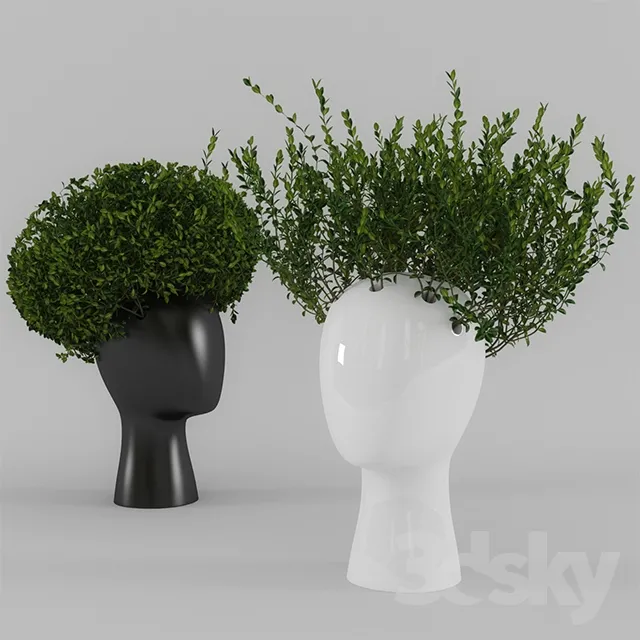 Wig vase with boxwood (part 1) 3DS Max - thumbnail 3