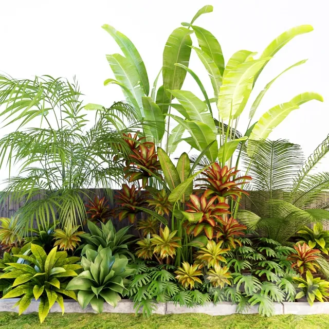 Plants – Flowers – 3D Models Download – 0034