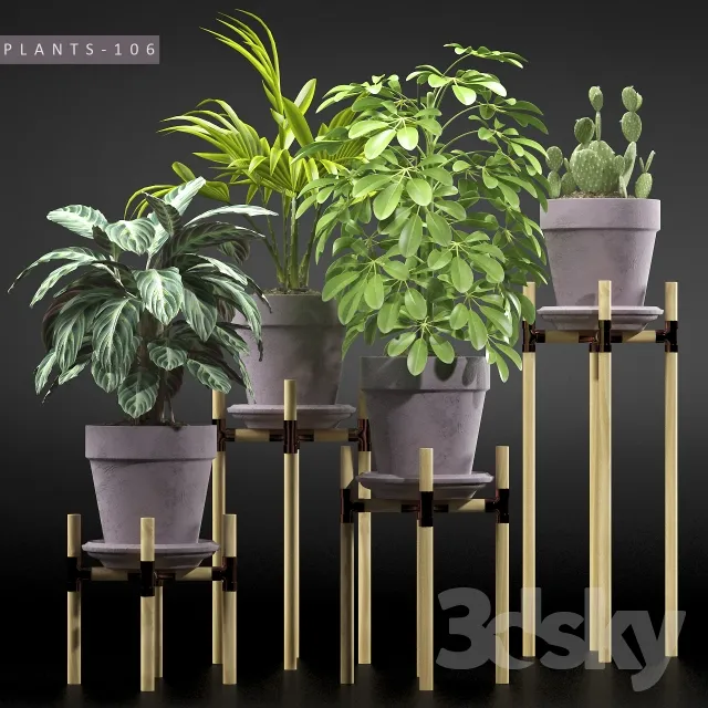 Plants – Flowers – 3D Models Download – 0042