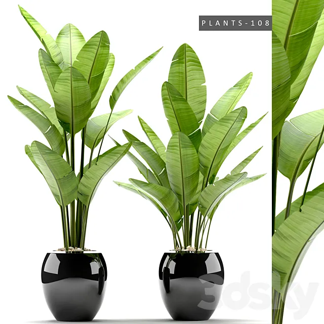 Plants – Flowers – 3D Models Download – 0044