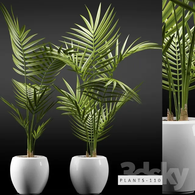 Plants – Flowers – 3D Models Download – 0051