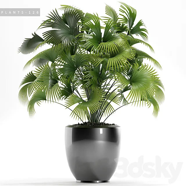 Plants – Flowers – 3D Models Download – 0065