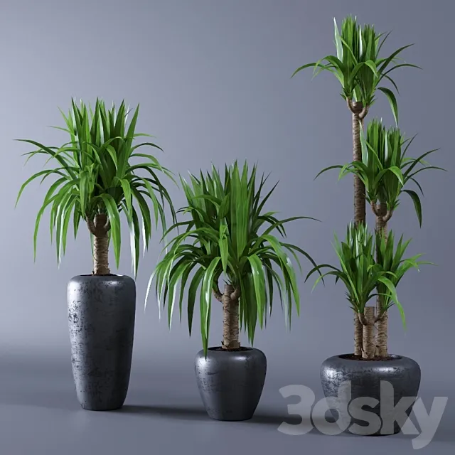 Plants – Flowers – 3D Models Download – 0074