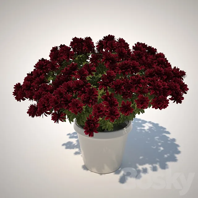 Plants – Flowers – 3D Models Download – 0078