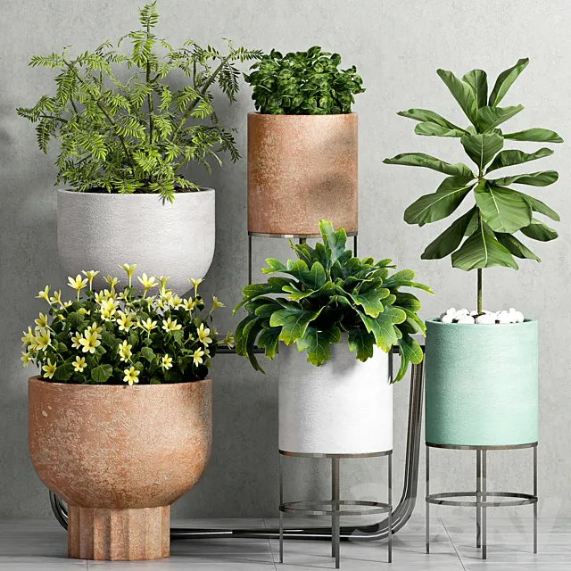 Plants – Flowers – 3D Models Download – 0079
