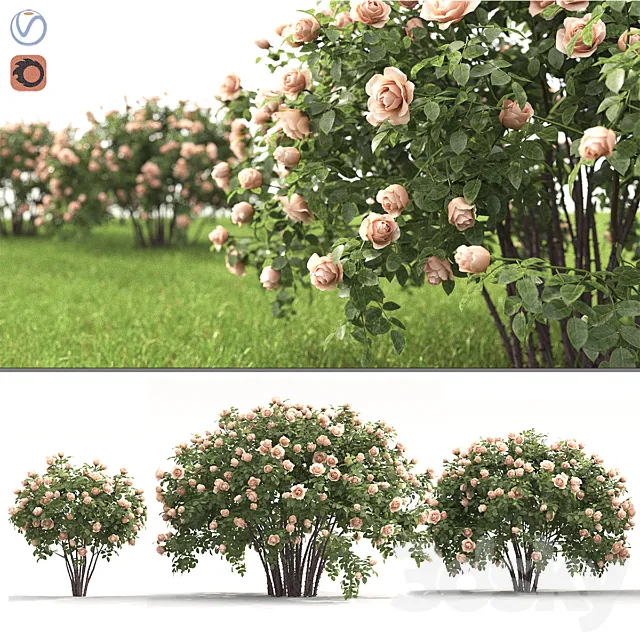 Plants – Flowers – 3D Models Download – 0090