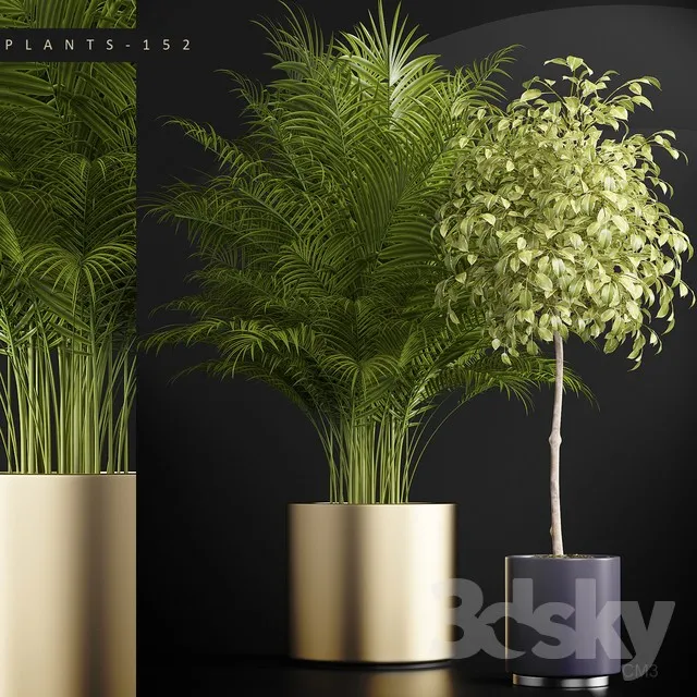 Plants – Flowers – 3D Models Download – 0108