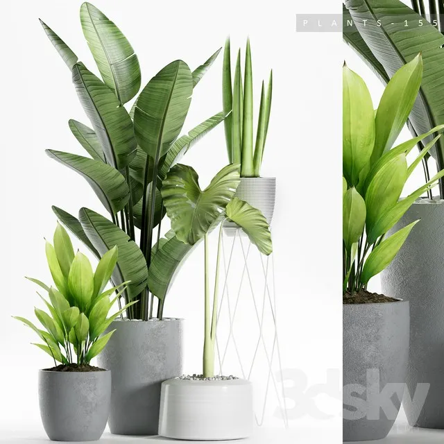 Plants – Flowers – 3D Models Download – 0124
