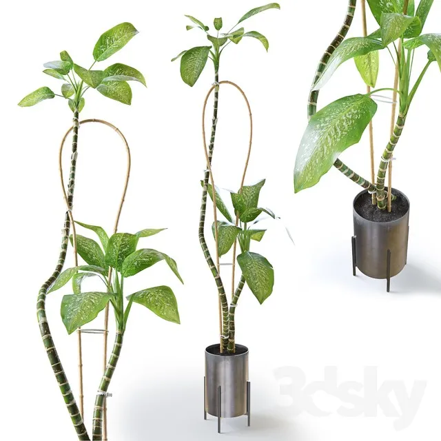 Plants – Flowers – 3D Models Download – 0125