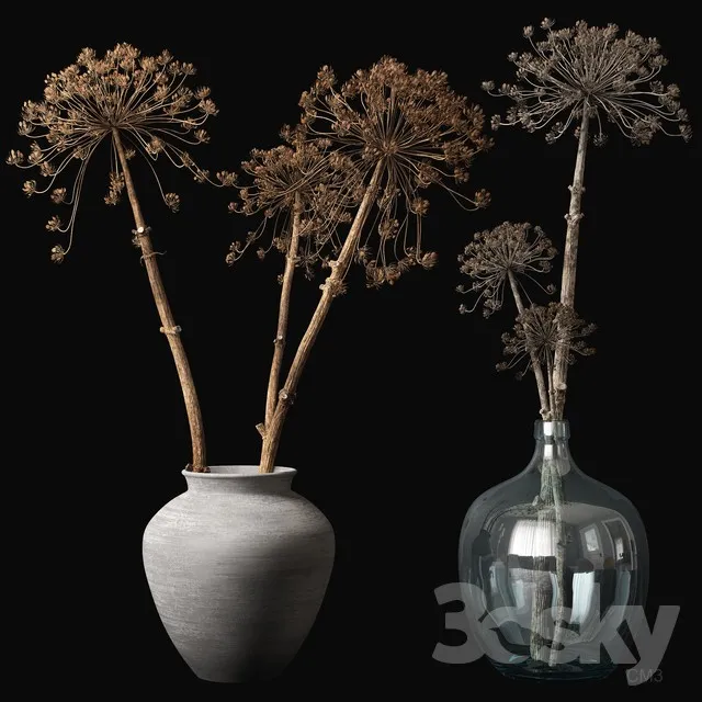 Plants – Flowers – 3D Models Download – 0131