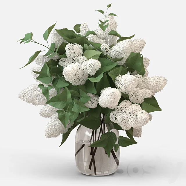 Plants – Flowers – 3D Models Download – 0132