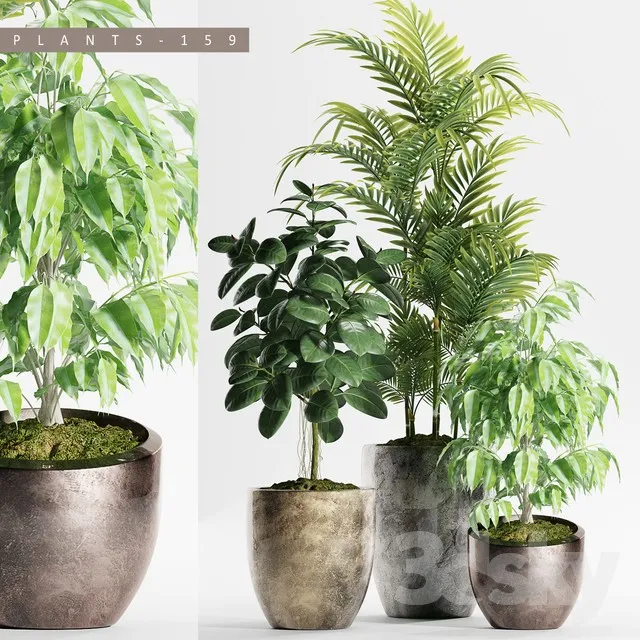 Plants – Flowers – 3D Models Download – 0134