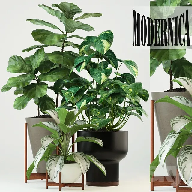Plants collection 74 Modernica pots 3DS Max - thumbnail 3