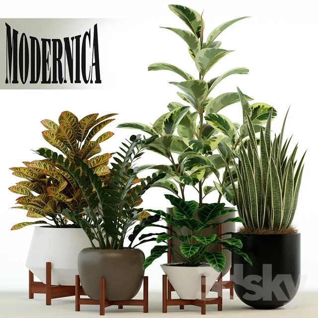 Plants collection 75 Modernica pots 3DS Max - thumbnail 3