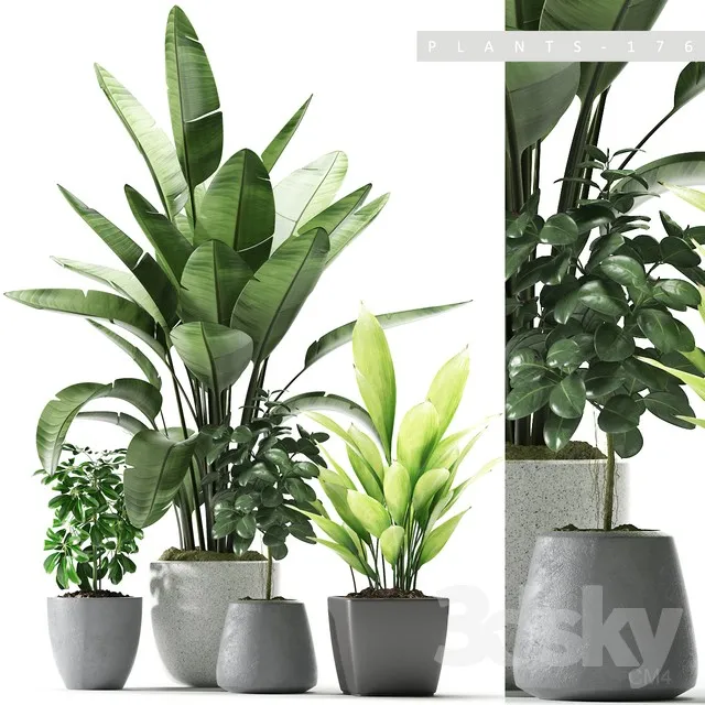 Plants – Flowers – 3D Models Download – 0155