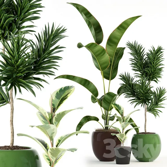 Plants collection 85 3DS Max - thumbnail 3