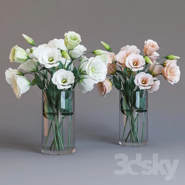 Plants – Flowers – 3D Models Download – 0173