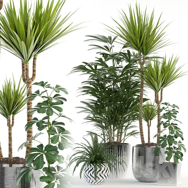 Plants collection 90 3DS Max - thumbnail 3