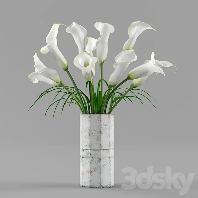 Plants – Flowers – 3D Models Download – 0185