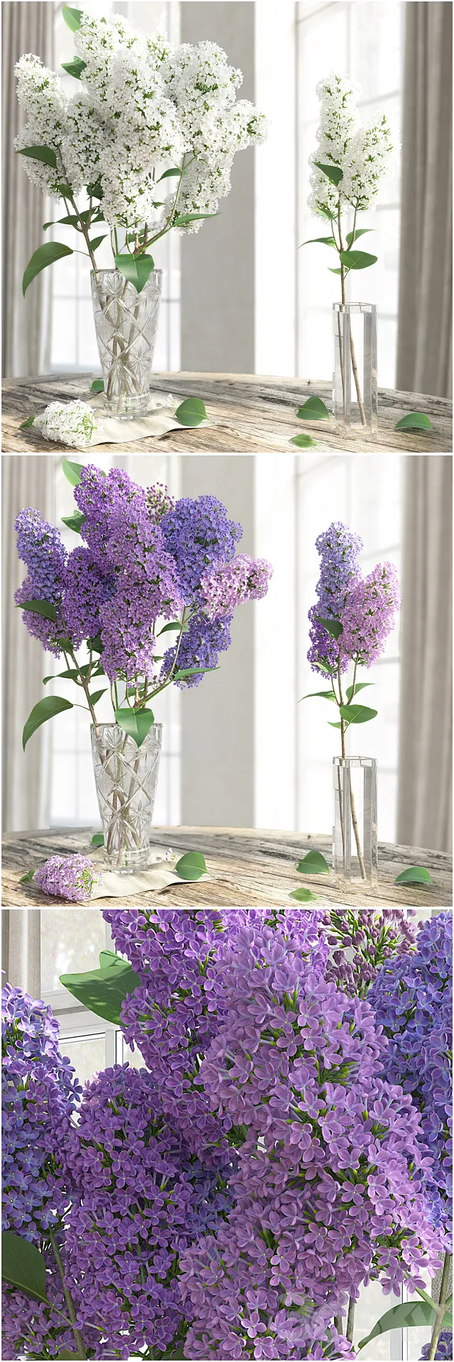 Plants – Flowers – 3D Models Download – 0207
