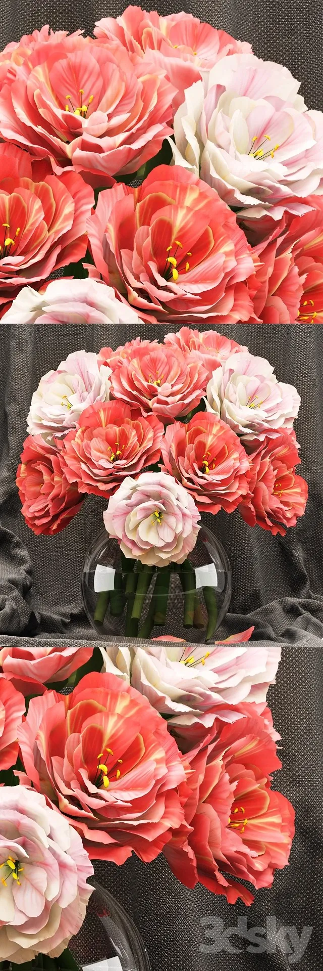Plants – Flowers – 3D Models Download – 0216