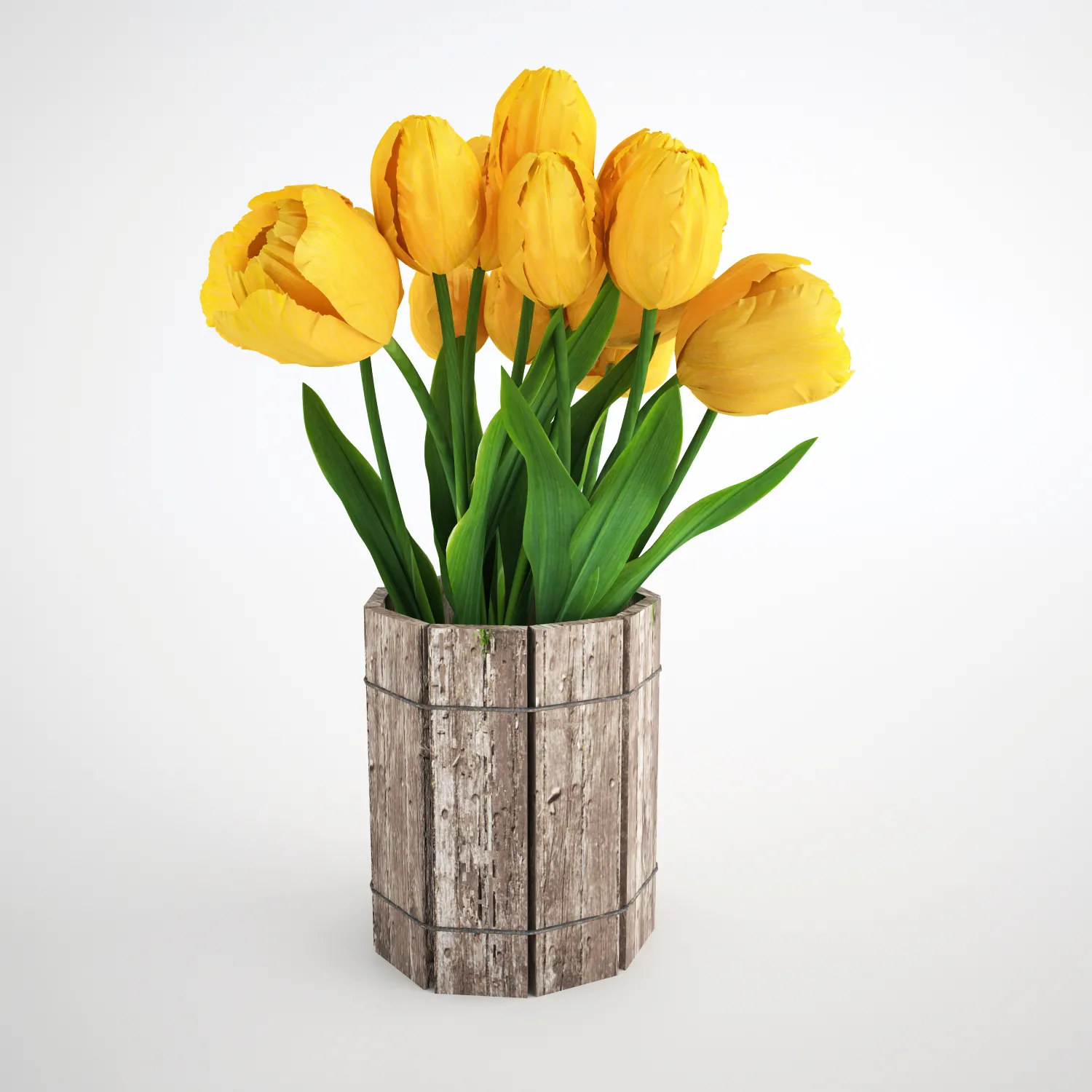 Plants – Flowers – 3D Models Download – 0217