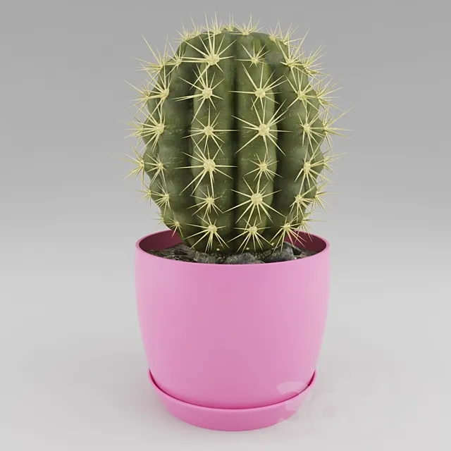 Cactus 3DS Max - thumbnail 3