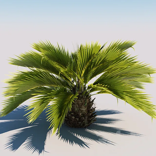 Plants – Flowers – 3D Models Download – 0226