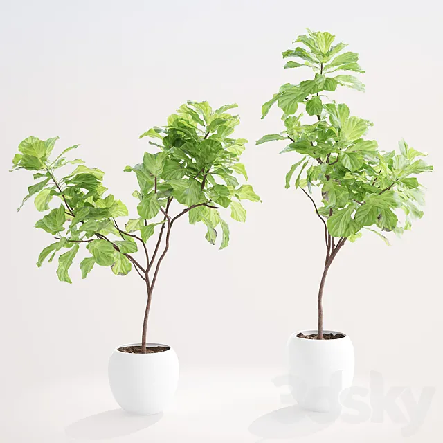 Plants – Flowers – 3D Models Download – 0228