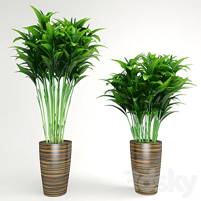 Plants – Flowers – 3D Models Download – 0231