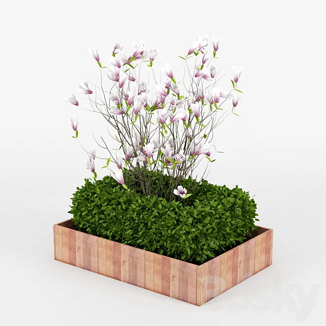 Plants – Flowers – 3D Models Download – 0233
