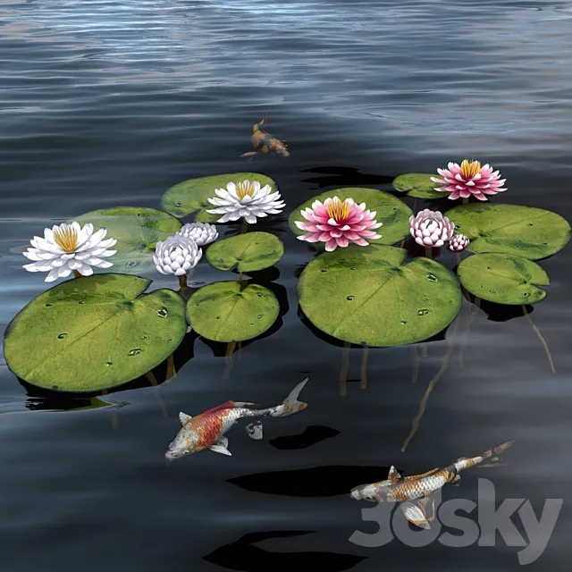 waterlily 2 3DS Max - thumbnail 3