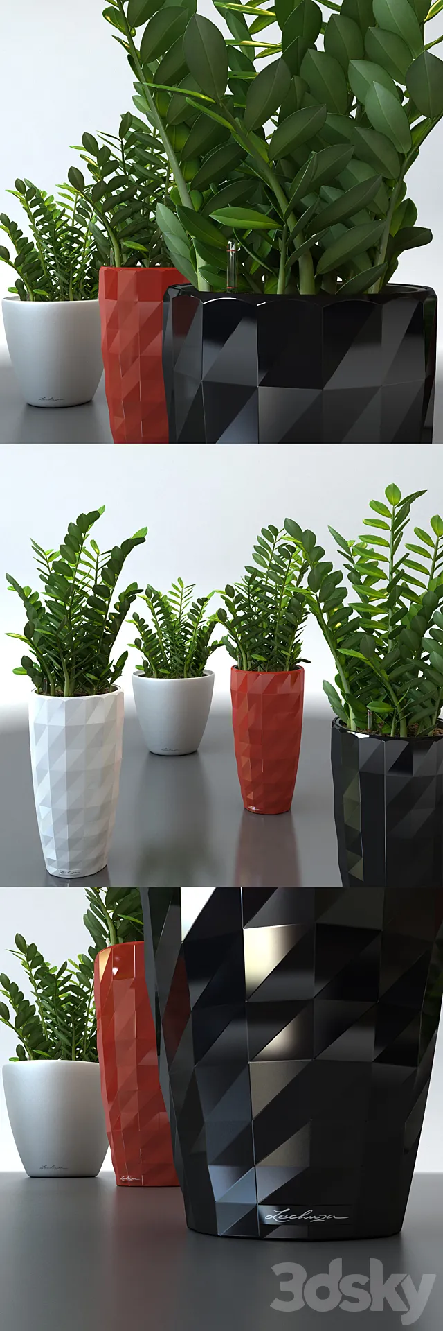 Plants – Flowers – 3D Models Download – 0239