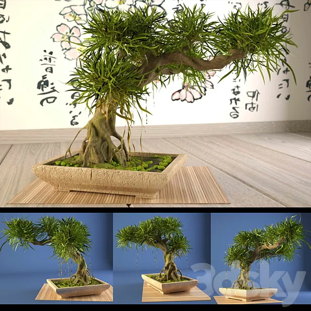 Plants – Flowers – 3D Models Download – 0242